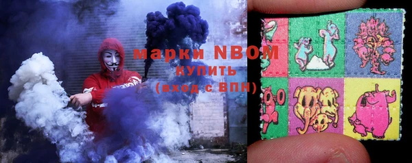 крисы Тотьма