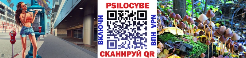 Псилоцибиновые грибы прущие грибы купить наркоту Тотьма